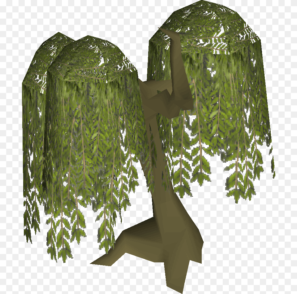 Old School Runescape Tree, Plant, Jungle, Nature, Outdoors Png Image