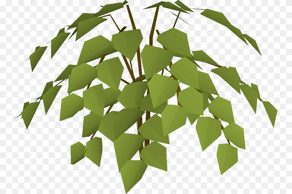 Old School Runescape Wiki Tree, Green, Leaf, Plant, Ivy Png