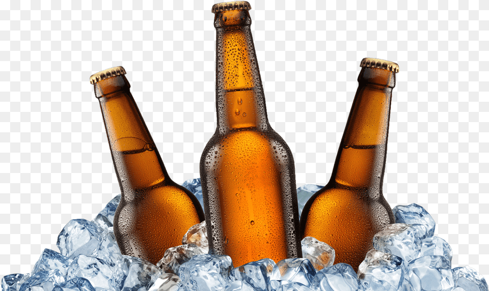 Old Stump Beer Bottles On Ice, Alcohol, Beer Bottle, Beverage, Bottle Png