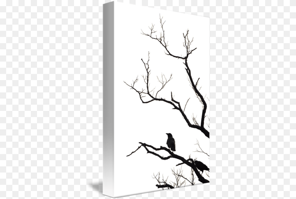 Old Tree Crows Twig, Silhouette, Animal, Bird Png Image