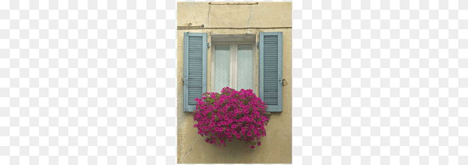 Old Window With Shutters And Window Box With Flowers Window, Curtain, Flower, Geranium, Plant Free Png Download