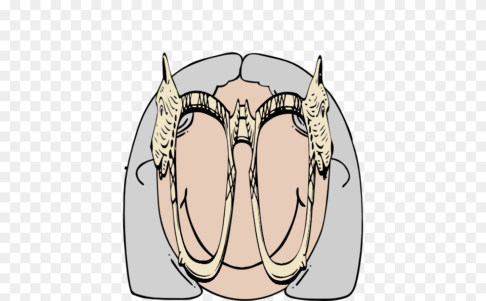 Old Woman Mask Clip Art, Accessories, Glasses Png Image