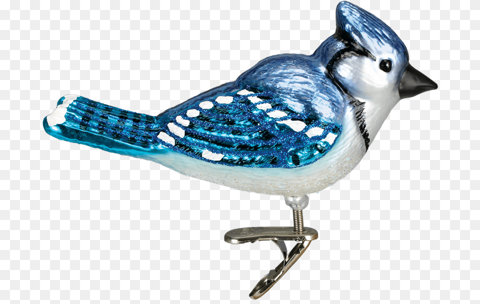 Old World Christmas Bright Blue Jay Ornament, Animal, Bird, Blue Jay, Bluebird Free Png Download