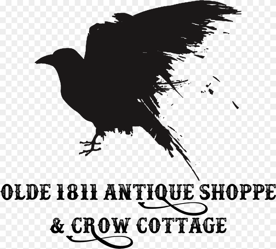 Olde 1811 Antique Shoppe And Crow Cottage Crow, Animal, Bird Png