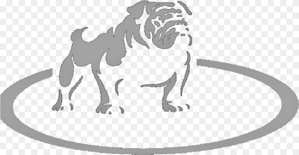Olde English Bulldogge, Animal, Canine, Mammal, Pet Free Png