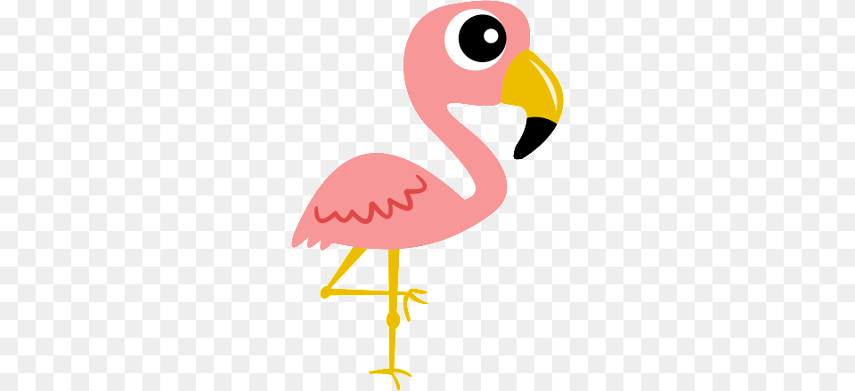 Older Toddler Daycare Oakland Nj Square One Kids Academy, Animal, Beak, Bird, Flamingo Free Transparent Png