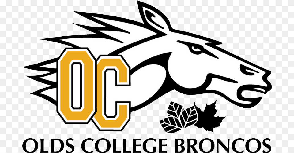 Olds Broncos Olds College Broncos Logo, Animal, Mammal, Baby, Person Free Png Download