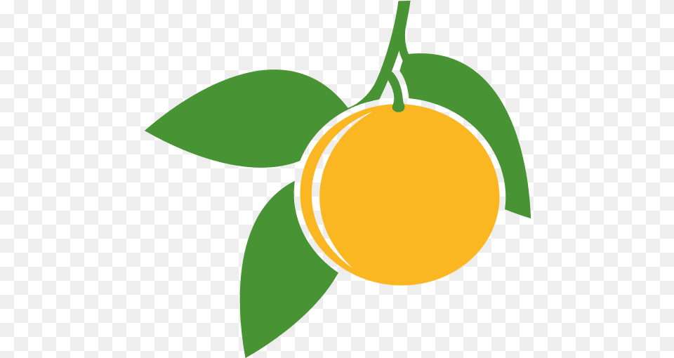 Oleggur U2013 Canva Bergamot Orange, Citrus Fruit, Food, Fruit, Plant Free Png