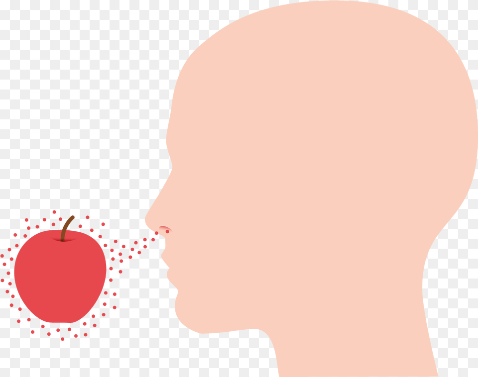 Olfactory Perception Illustration, Person, Head, Face, Adult Free Transparent Png