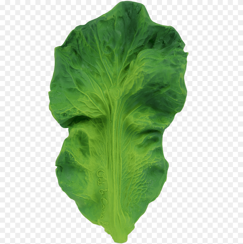 Oli Amp Carol Kendall Kale, Food, Lettuce, Plant, Produce Png