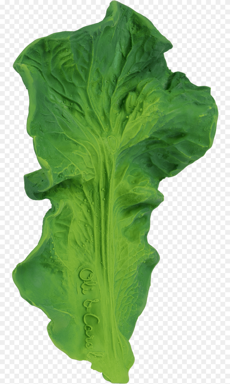 Oli Amp Carol Kendall The Kale Oli Amp Carol, Food, Lettuce, Plant, Produce Free Png Download