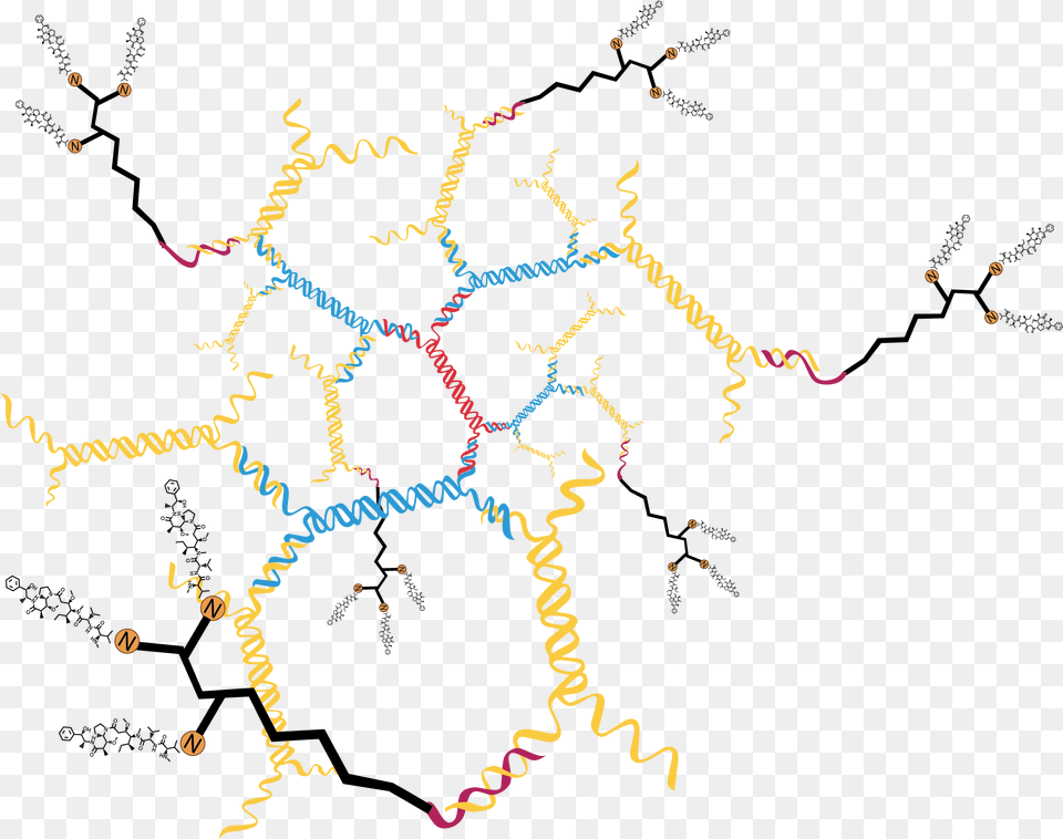 Oligo With 3 Drug Molecules 18 Drug Molecules On 3dna Map, Pattern, Accessories, Fractal, Ornament Free Png