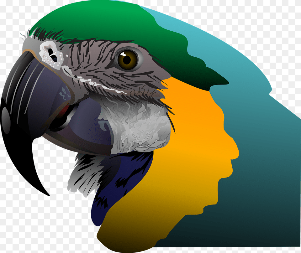 Olivcem Karandashom Kviti Yak Malyuvati Kartini, Animal, Beak, Bird, Macaw Png Image