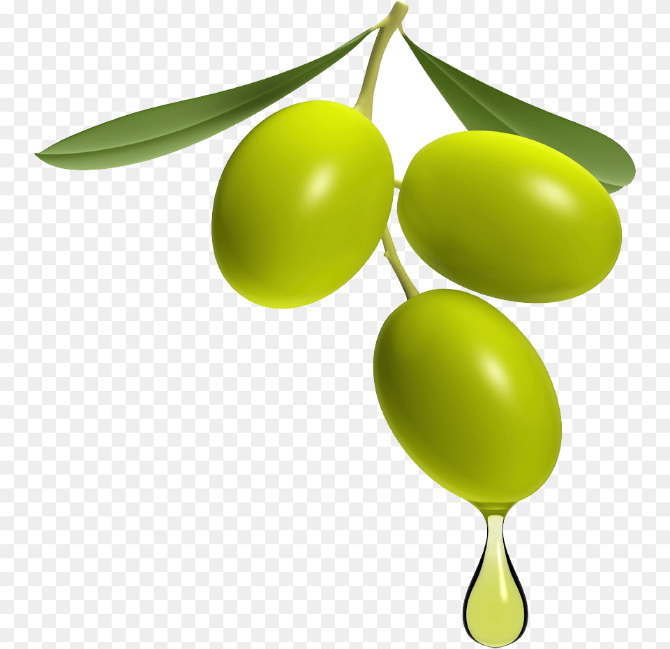 Olive, Food, Fruit, Leaf, Plant Png Image