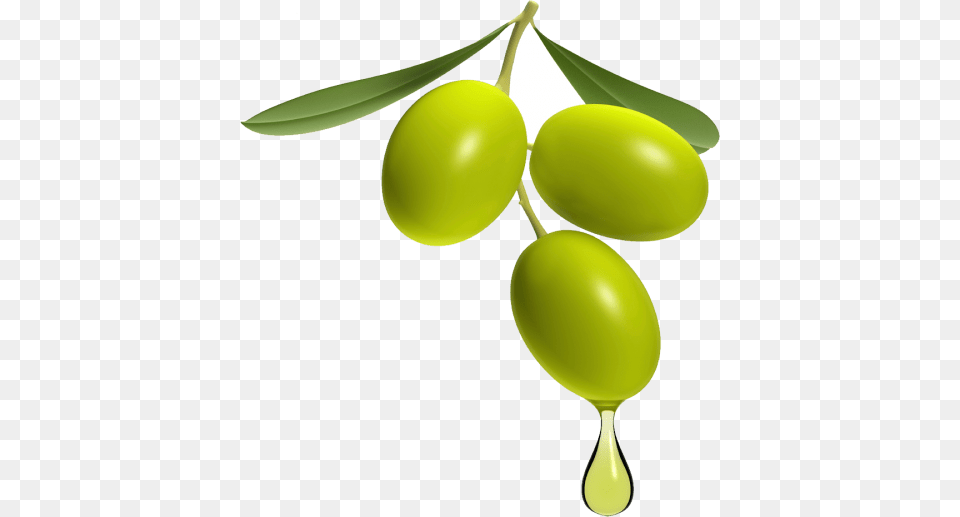 Olive, Food, Fruit, Leaf, Plant Free Png Download