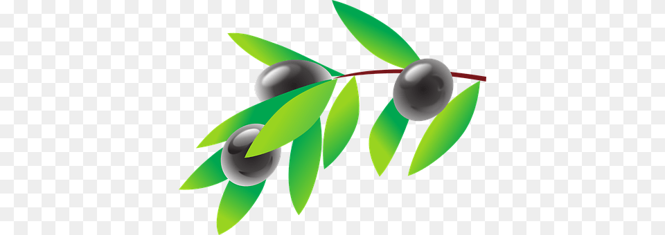 Olive Berry, Blueberry, Food, Fruit Free Png