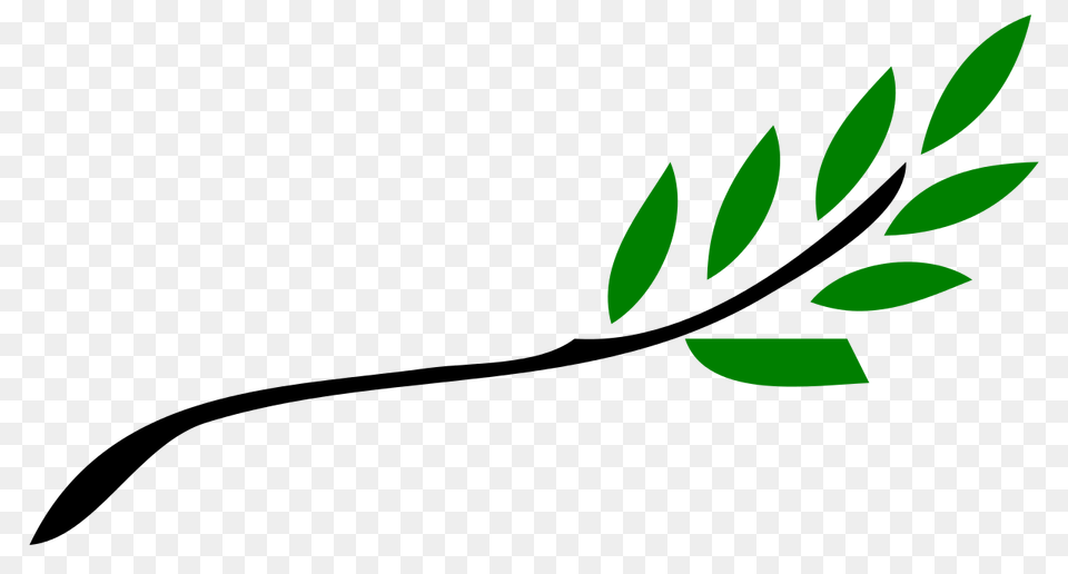 Olive Branch, Green, Herbal, Herbs, Leaf Free Png