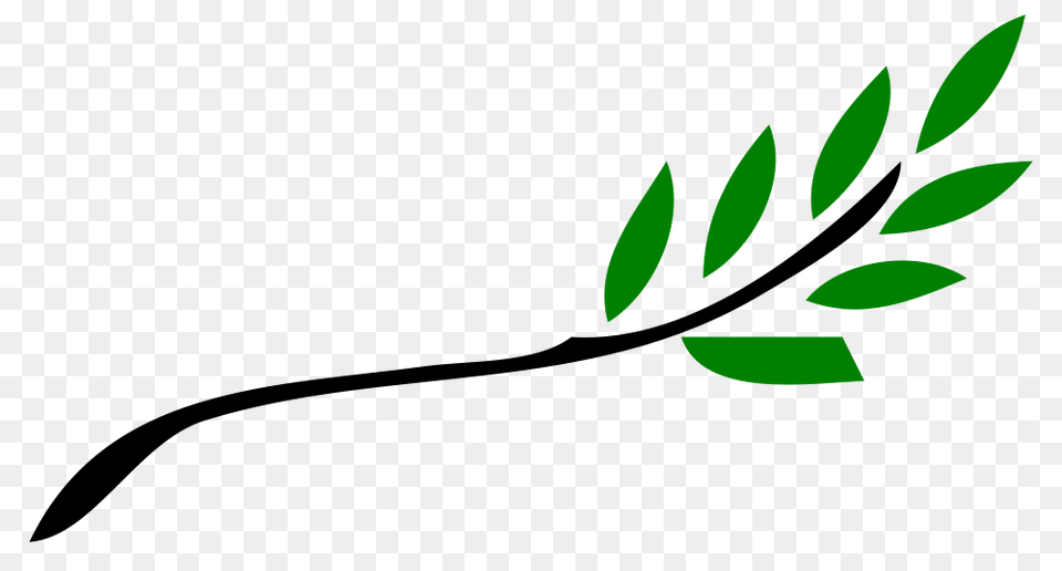 Olive Branch, Green, Herbal, Herbs, Leaf Free Png Download