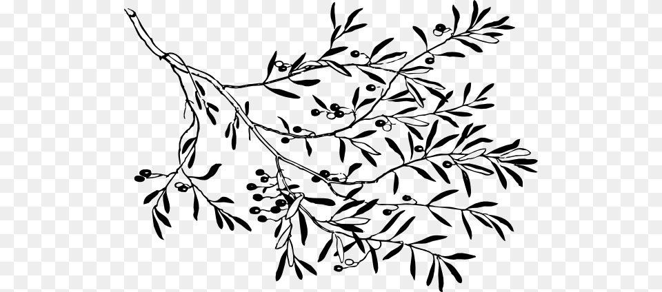 Olive Branch Clip Art, Floral Design, Graphics, Pattern, Stencil Free Png Download