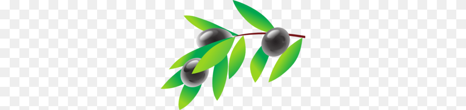 Olive Branch Clip Art, Berry, Blueberry, Food, Fruit Free Png Download