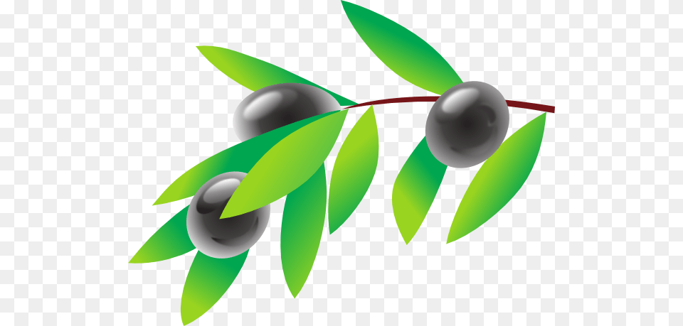 Olive Branch Clip Art, Produce, Berry, Blueberry, Plant Free Transparent Png