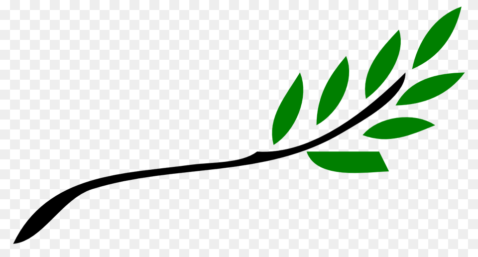 Olive Branch Clip Art Look, Herbal, Plant, Leaf, Green Free Png Download