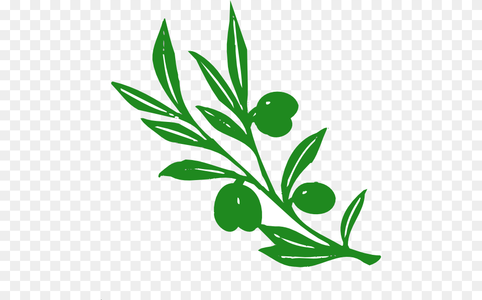 Olive Branch Clip Arts For Web, Herbal, Herbs, Leaf, Plant Free Png Download