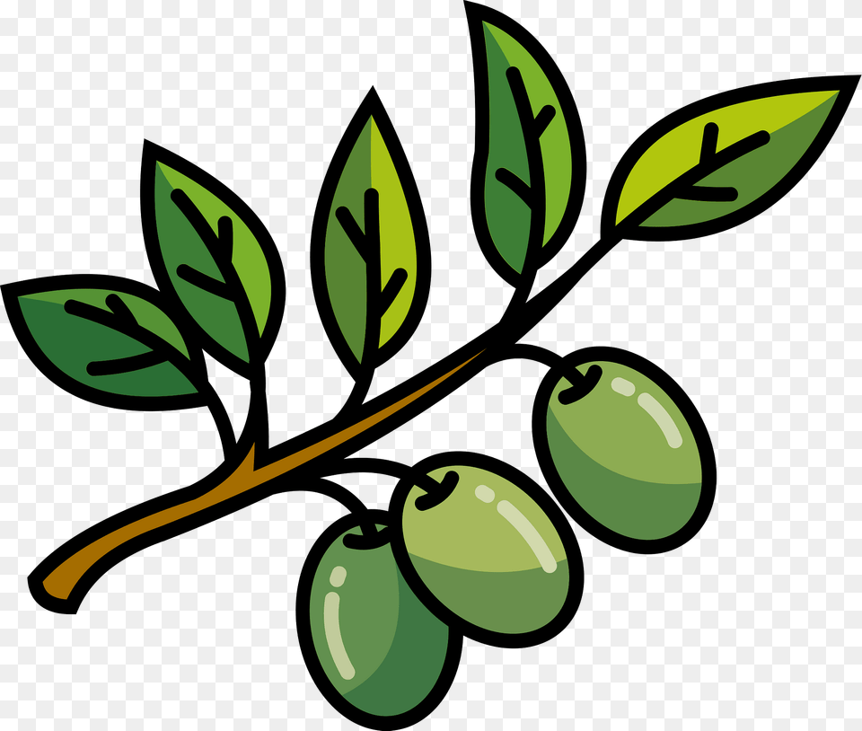 Olive Branch Clipart, Leaf, Plant, Food, Fruit Free Png