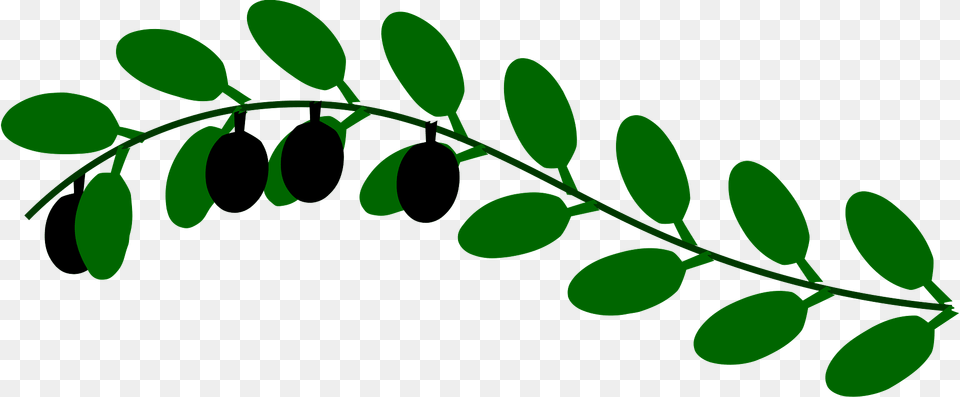 Olive Branch Clipart 23 820 X 340 Webcomicmsnet Green Outline Of Leaves, Leaf, Plant, Herbal, Herbs Png Image