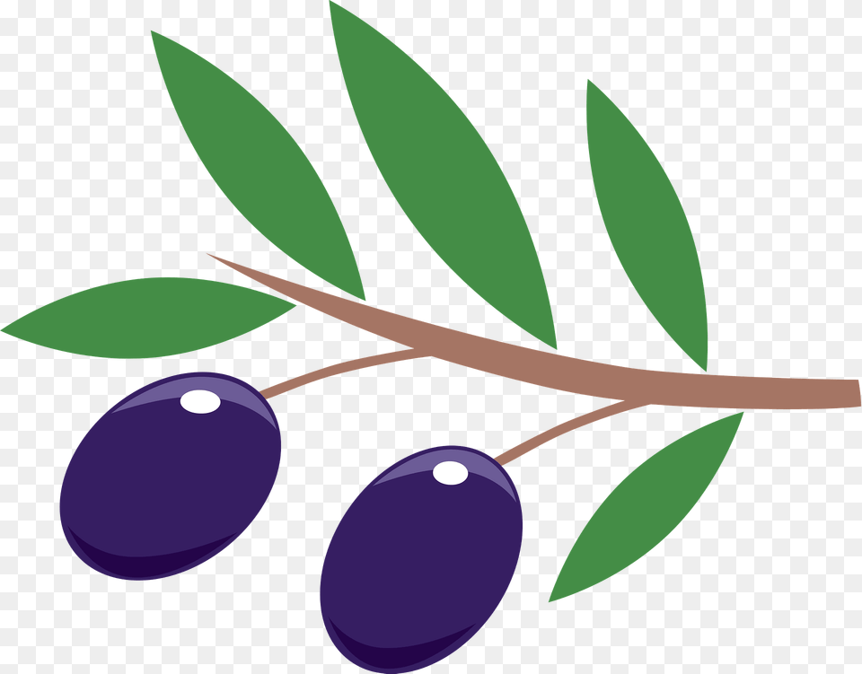 Olive Branch Clipart, Berry, Blueberry, Food, Fruit Free Transparent Png
