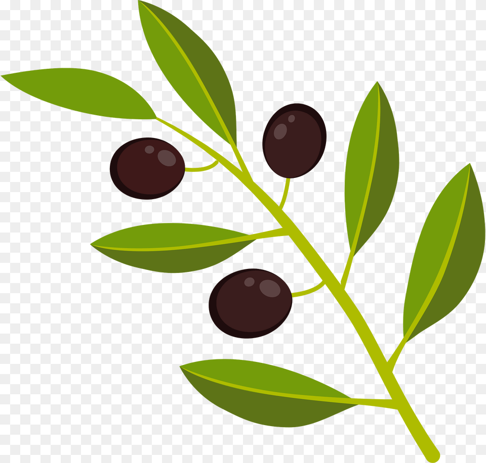 Olive Branch Clipart, Food, Fruit, Leaf, Plant Free Transparent Png