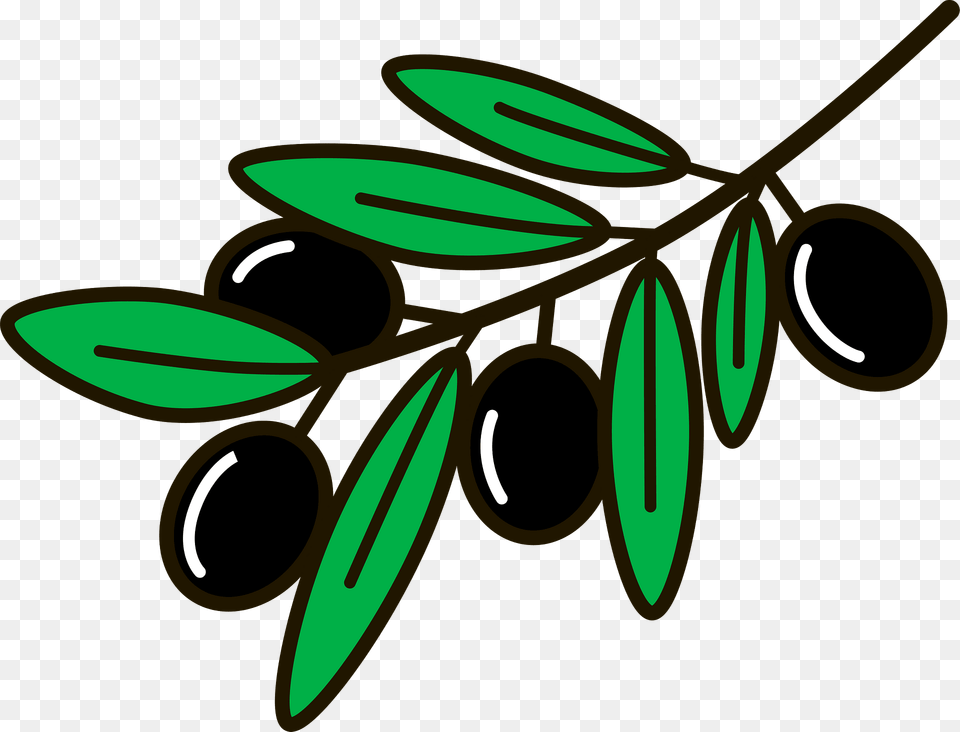 Olive Branch Clipart, Plant, Leaf, Herbs, Herbal Png Image
