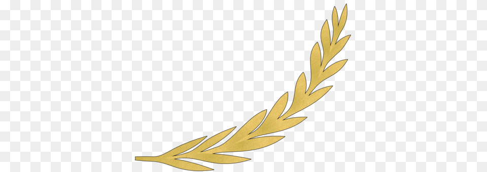 Olive Branch Gold Drawing, Grass, Plant, Pattern, Tree Free Png