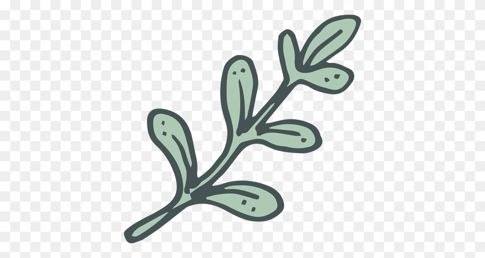 Olive Branch Hand Drawn Cartoon Icon, Herbs, Plant, Herbal, Leaf Free Png Download