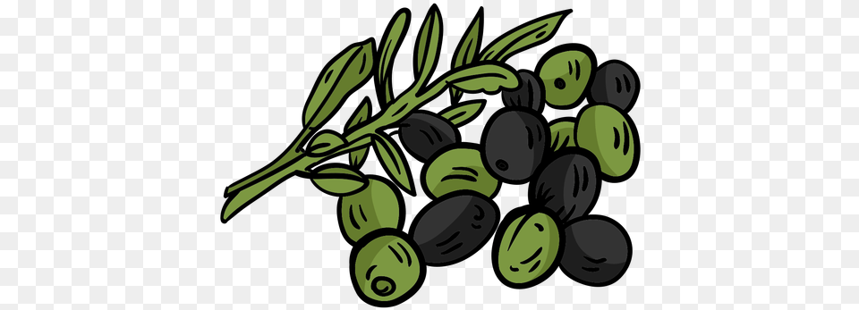 Olive Branch Leaf Flat Transparent U0026 Svg Vector File Olive, Berry, Blueberry, Food, Fruit Free Png Download