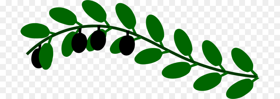 Olive Branch Leaf Laurel Wreath Tree, Green, Herbal, Herbs, Plant Free Png
