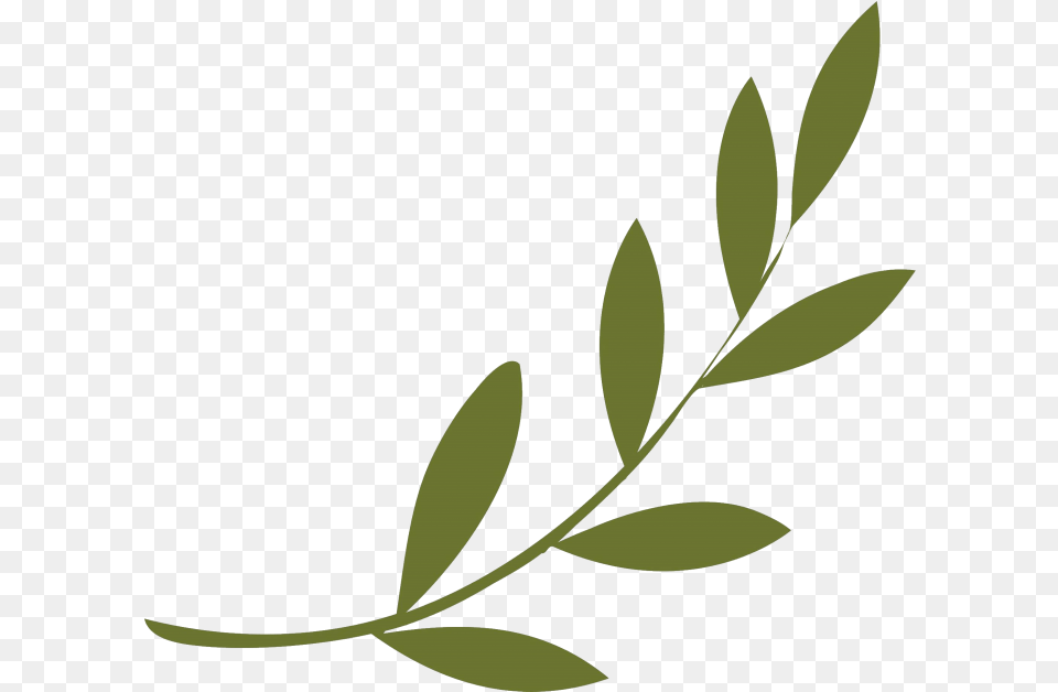 Olive Branch Peace Symbols Wreath Symbol Olive Branch Peace Symbol, Herbal, Plant, Leaf, Herbs Png