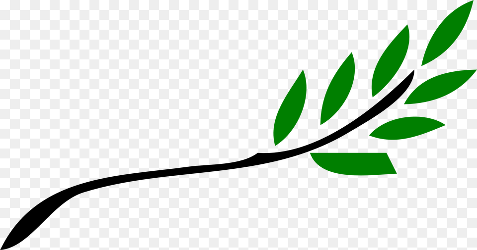Olive Branch Petition, Green, Herbal, Herbs, Leaf Png Image