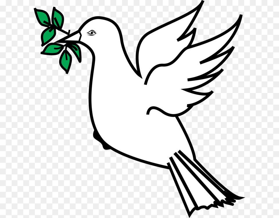 Olive Branch Petition Columbidae Doves As Symbols, Stencil, Animal, Bird, Blackbird Png Image