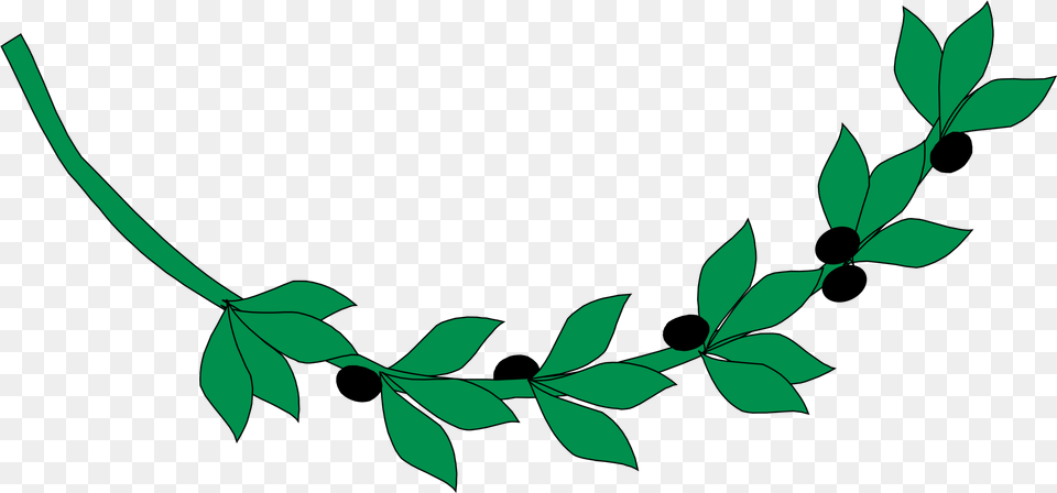 Olive Branch Vector Transparent U0026 Clipart Ancient Greece Olive Branch, Green, Leaf, Plant, Herbal Free Png