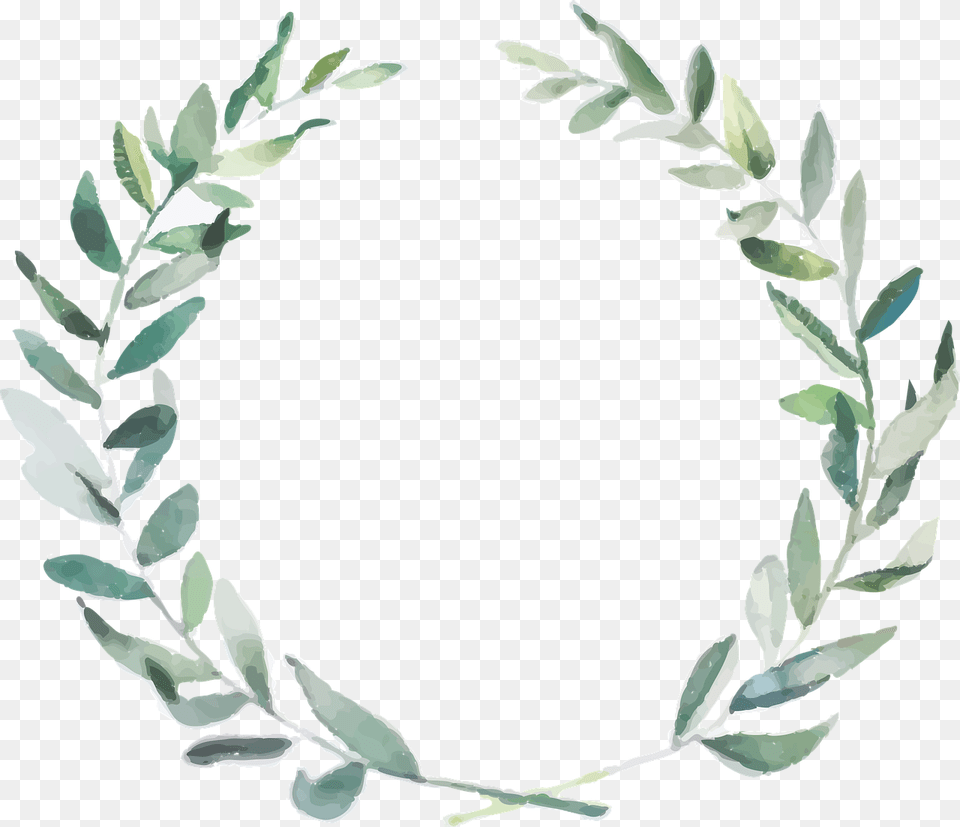 Olive Branch Wedding Invitation Watercolor Olive Branch Leaf, Plant, Accessories, Bracelet Free Transparent Png