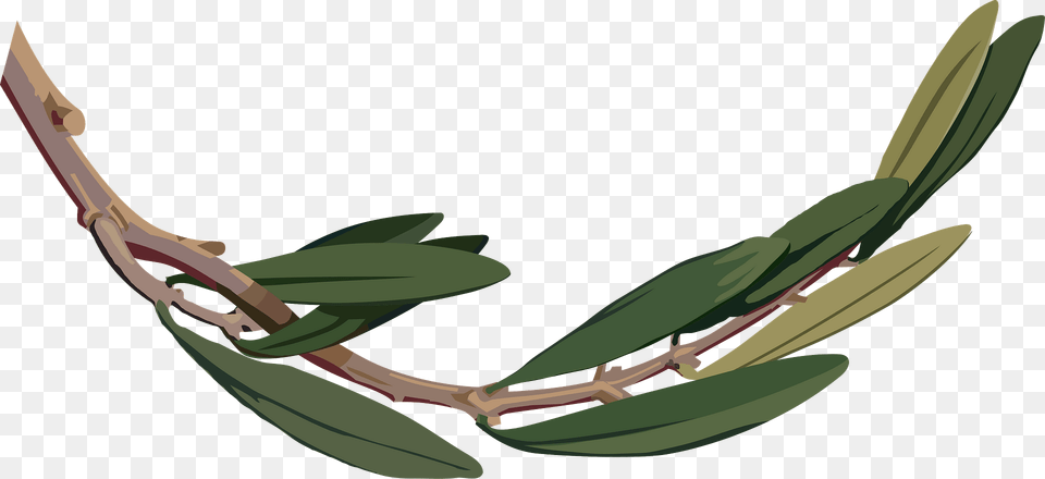 Olive Branch2 Clipart, Vegetation, Plant, Leaf, Tree Png Image