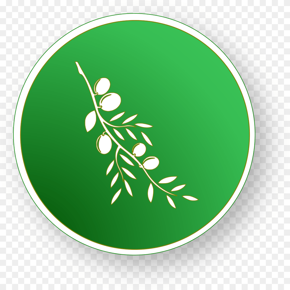 Olive Circle Olive Video Editor Icon Svg, Plant, Leaf, Herbs, Herbal Free Transparent Png