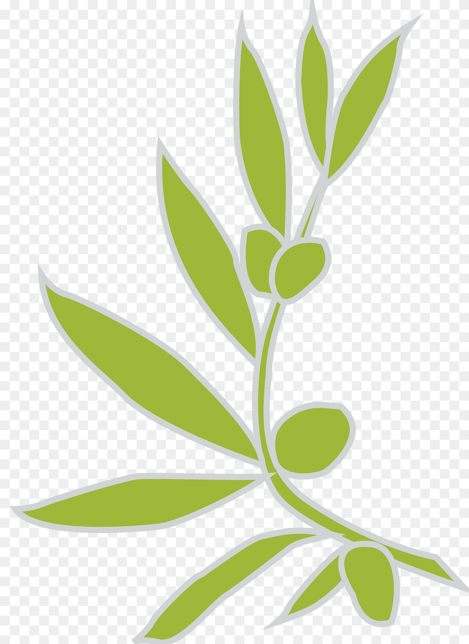 Olive Clipart, Art, Pattern, Leaf, Herbs Free Png Download