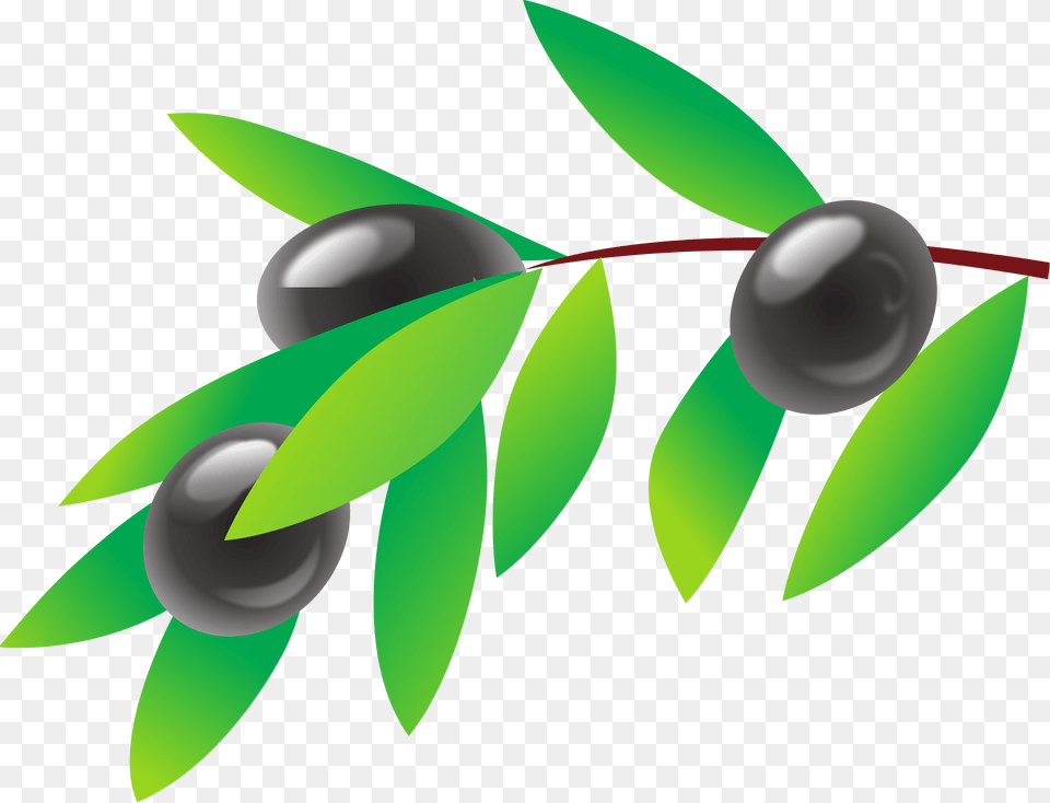 Olive Clipart, Plant, Leaf, Green, Produce Free Png