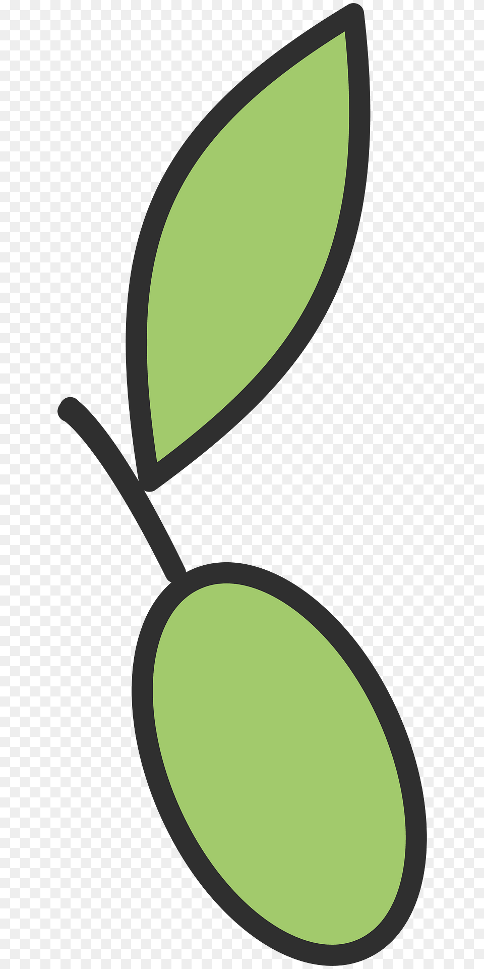 Olive Clipart, Leaf, Plant, Bow, Weapon Free Png