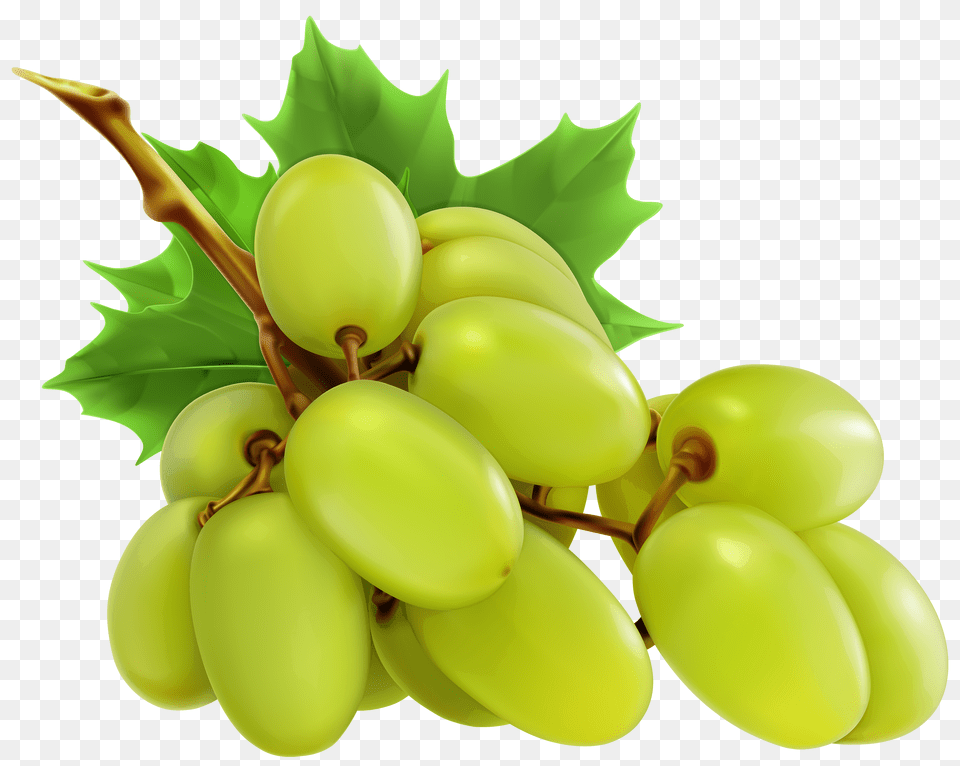 Olive Clipart Grape, Food, Fruit, Grapes, Plant Png Image