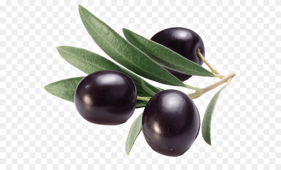 Olive Clipart Jamun Fruit Olive, Food, Plant, Produce, Leaf Free Transparent Png