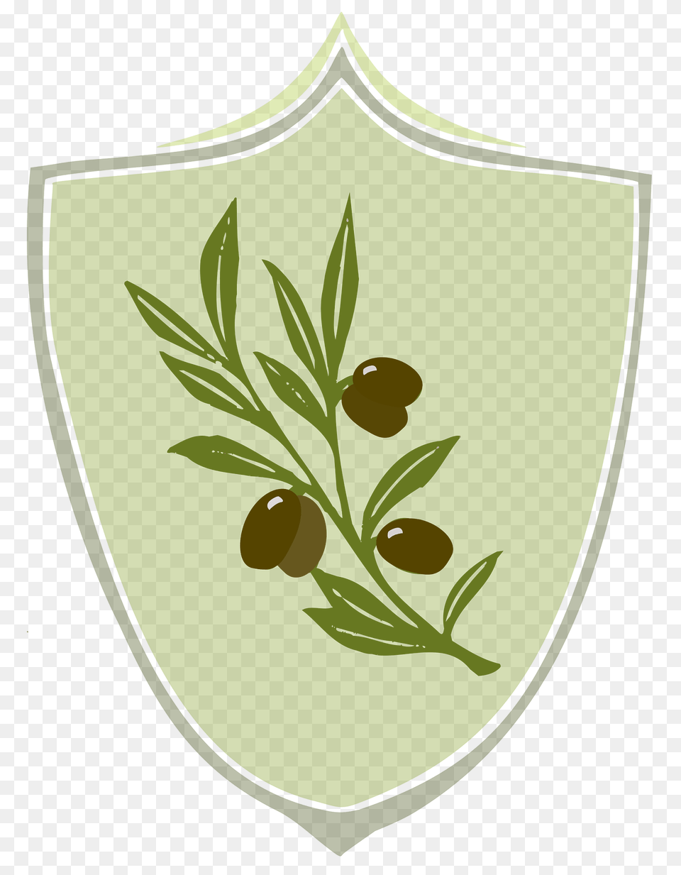 Olive Coat Of Arms Clipart, Armor, Shield, Plant Png Image