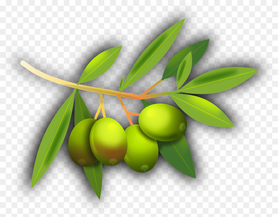 Olive Fruit, Food, Leaf, Plant, Produce Free Transparent Png